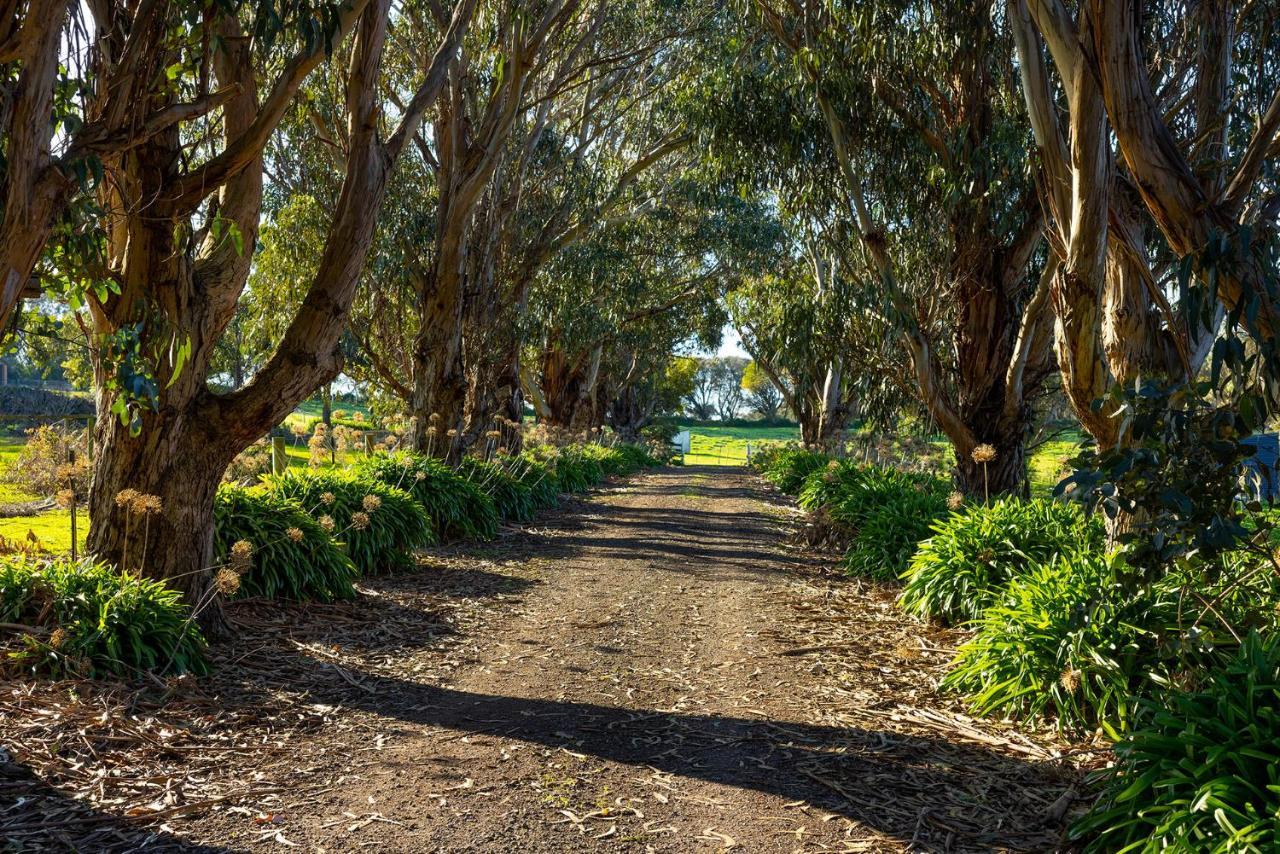 Harmony At Tower Hill Apartamento Koroit Exterior foto